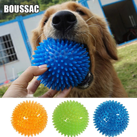 Squeaky Tooth Cleaning Ball for Dogs